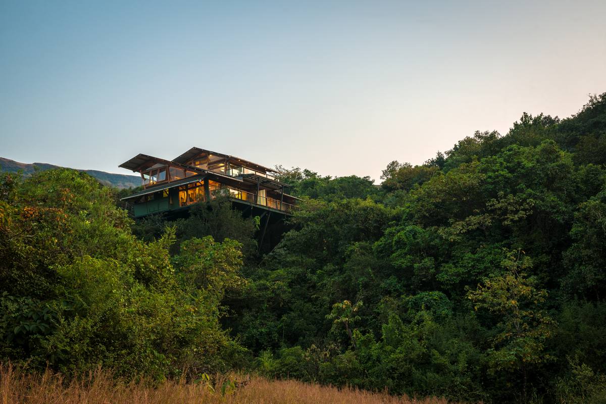 cabane dans les arbres